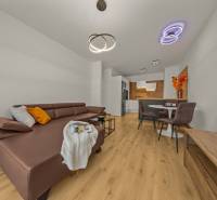 Living room in a two-room apartment with a sofa and wooden decor flooring.