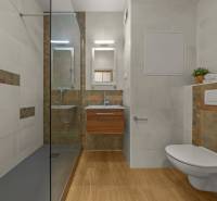 Bathroom in a 2-room apartment with wood-patterned flooring, a shower, and a toilet.