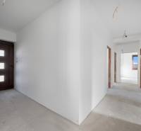 A hallway in a family house with white walls and dark doors.