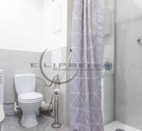 Bathroom in a studio apartment with a shower, sink, and washing machine.