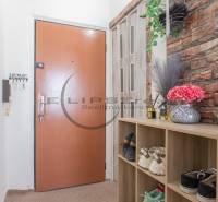 Entrance hallway with a shoe cabinet, decorative flower vase, and wallpaper in a studio apartment.
