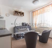 A bright living area in a studio apartment with a comfortable sofa and a kitchenette.