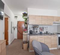 A kitchen in a studio apartment with wooden decor furniture and comfortable seating.