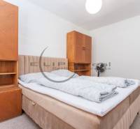 Upholstered headboard bed and wooden cabinets in a studio apartment.