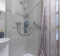 Bathroom in a studio apartment with a handheld shower and a glass shower screen.