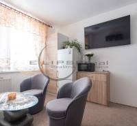 Comfortable seating and furnishings in a studio apartment, light curtains and cabinets.