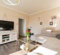 Living room of a two-room apartment with a sofa, table, and floor with wood decor.