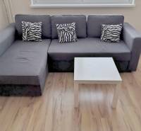 A gray sofa with zebra-patterned cushions and a white table on a wood-patterned floor.