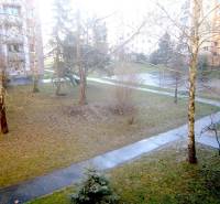 A garden with trees and a path surrounded by apartment buildings in Piešťany.