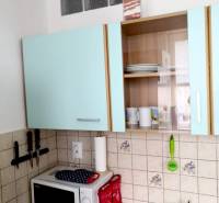 Kitchen area in a studio apartment with light blue cabinets and a microwave.