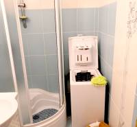 A bathroom in a studio apartment with a washing machine and a shower.