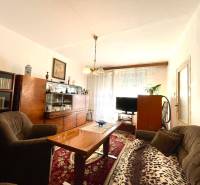 A living room in a one-room apartment with antique furniture and a carpet.