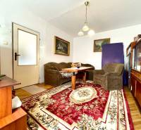Living room in a one-room apartment with a carpet and antique furniture.