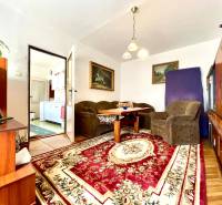 Living room in a studio apartment with carpets and wood-patterned flooring.