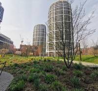 Modern high-rise buildings and greenery in Bratislava - Staré Mesto on Čulenova Street.