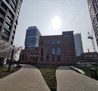 In Bratislava - Staré Mesto on Čulenova Street, you can see modern architecture and blooming trees.
