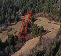 Sale Agrarian and forest land, Agrarian and forest land, Námestovo, Sl