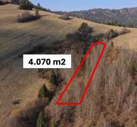 Forest land in the vicinity of Námestovo, marked with an area of 4,070 m².