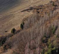 Landscape in Námestovo with agricultural and forest lands surrounded by trees in the autumn season.
