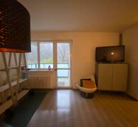Living room in a two-room apartment with wood decor and a balcony.