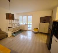 Living room with wood-patterned flooring, a sofa, and a television in a 2-room apartment.