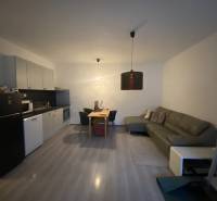 Kitchen with dining area in a 2-room apartment with wood-patterned flooring.