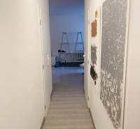 A narrow hallway in a 2-room apartment with a wooden decor floor and paintings on the wall.