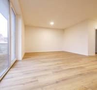 Interior of a family house with a wooden decor floor and a large window.