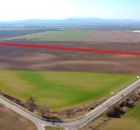 Agricultural and forest lands around Štúrovo with a road and rectangular plots.