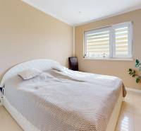Bedroom in a family house with a double bed and a large plant.