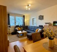 Sale One bedroom apartment, One bedroom apartment, Bedřicha Smetanu, T