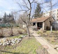 The garden of a family house on Gorkého Street in Rimavská Sobota with a wooden gazebo.