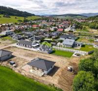 Family houses in Harichovce among green meadows and hills, aerial view.