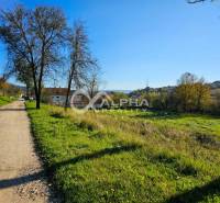 A rural path and houses in the background surrounded by nature in Spišské Podhradie, Land - housing.