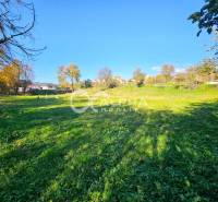 Greenery and trees on a plot in Spišské Podhradie suitable for living.