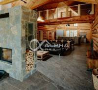A spacious interior of a family house with a fireplace, wooden walls, and a floor with a wooden decor.