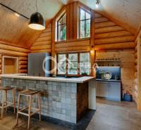 A kitchen in a family house with wooden walls and large windows, flooring with a wooden decor.