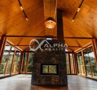 Wooden interior of a family house with a fireplace and large windows, floor with wooden decor.