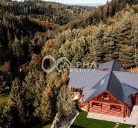 A family house in Hnilčík surrounded by forest, with a stone terrace and wooden decor.