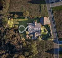 A family house in Veľká Lomnica surrounded by greenery, with a driveway and trees.