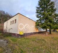 A building in Helcmanovce surrounded by greenery, next to a tall conifer.