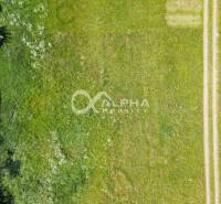 Aerial view of residential grass plots in Betlanovce, with an adjacent domestic plot.