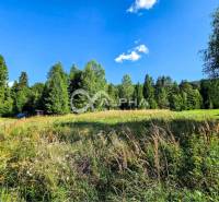 Grassy Lands - living in Spišské Vlachy with a forest and a blue sky in the background.