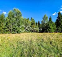A meadow with grass and trees in Spišské Vlachy, ideal for residential plots.