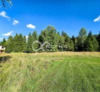 Lands - housing of Spišské Vlachy with a house on the edge of a forest and meadow.
