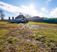 Plots - housing in Spišské Tomášovce with a grassy area and a house in the background.