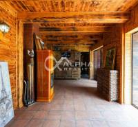 Interior of a family house with wooden decor and a decorative fireplace, paintings, and a cat sculpture.