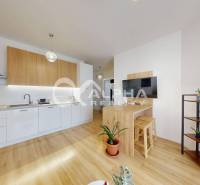 A kitchen in a 2-room apartment with a wooden decor floor and houseplants.