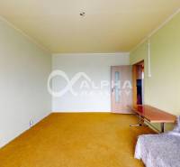Living room in a 3-room apartment with a yellow carpet and a gray sofa.