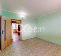 A room in a three-room apartment with mint green walls and open doors.